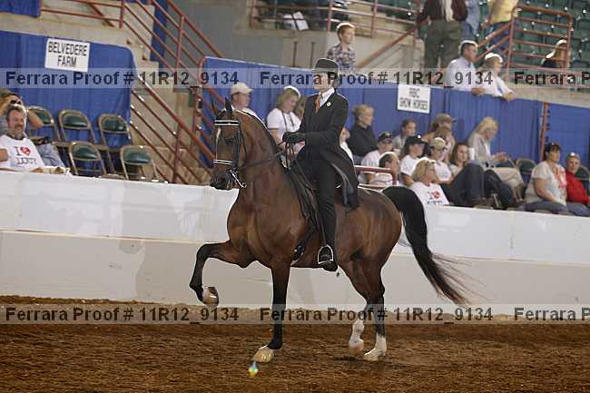 Proof 11r12_9134