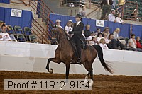 11r12_9134 proof