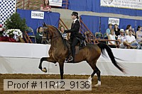 11r12_9136 proof