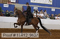 11r12_9137 proof