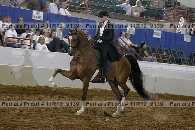 Proof 11r12_9139
