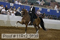 11r12_9139 proof