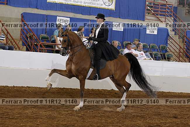 Proof 11r12_9140