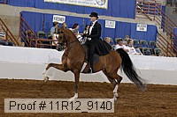 11r12_9140 proof