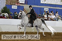 11r12_9142 proof