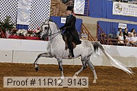 11r12_9143 proof