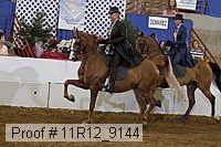11r12_9144 proof