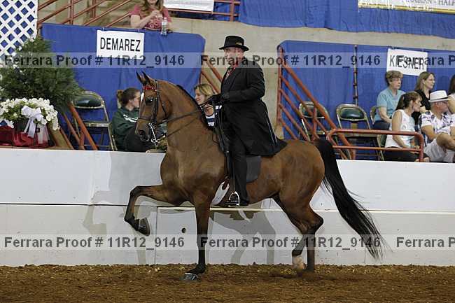 Proof 11r12_9146