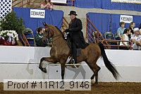 11r12_9146 proof