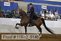 11r12_9148 proof