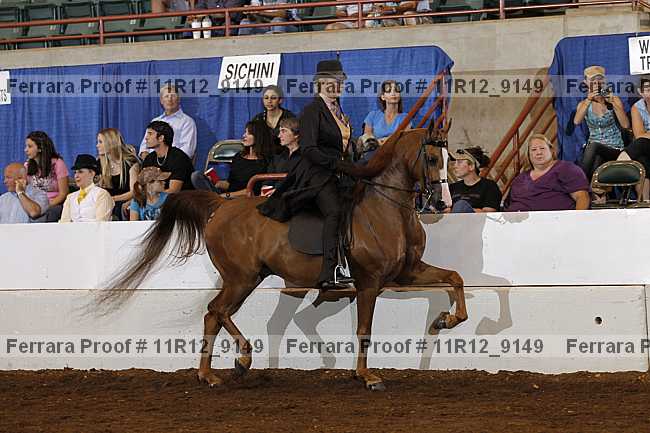 Proof 11r12_9149