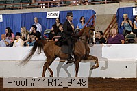 11r12_9149 proof