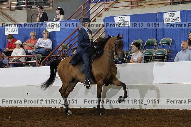 Proof 11r12_9151