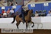 11r12_9151 proof