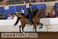 11r12_9152 proof