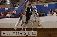 11r12_9153 proof