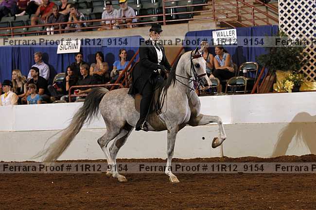 Proof 11r12_9154