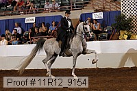 11r12_9154 proof