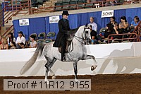 11r12_9155 proof