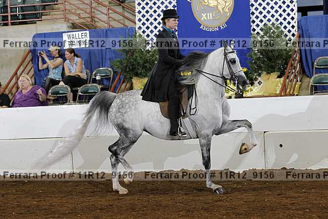 Proof 11r12_9156