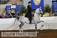 11r12_9156 proof