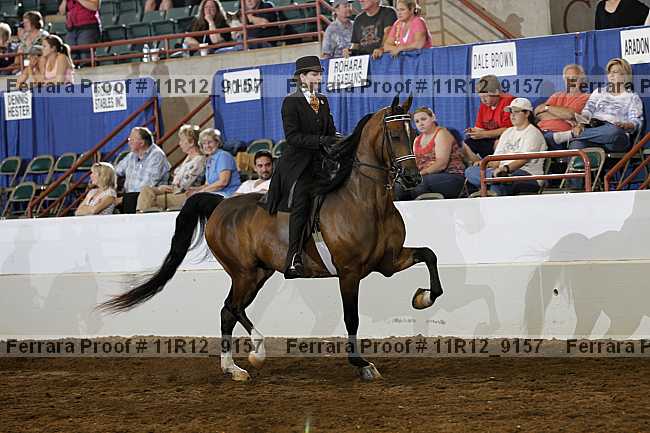 Proof 11r12_9157