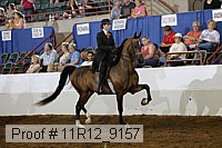 11r12_9157 proof