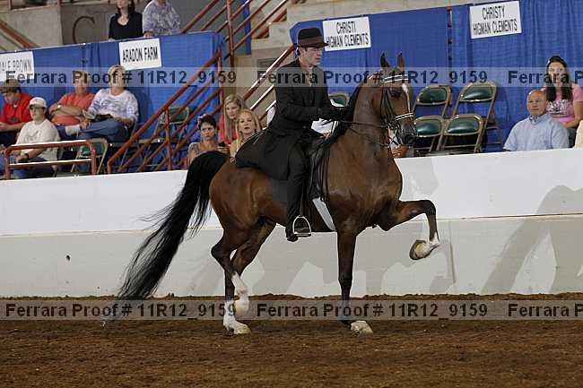 Proof 11r12_9159