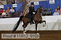 11r12_9159 proof