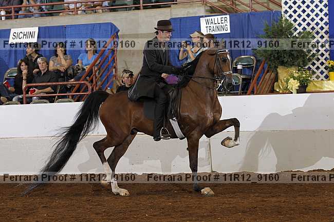 Proof 11r12_9160