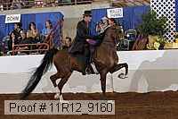 11r12_9160 proof