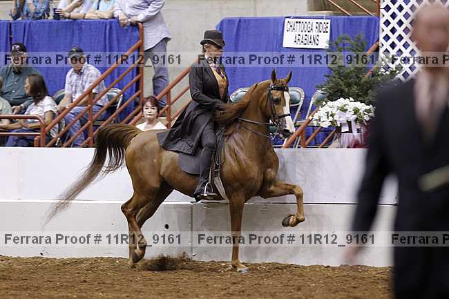 Proof 11r12_9161