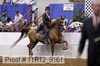 11r12_9161 proof