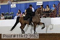 11r12_9162 proof