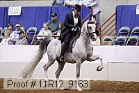 11r12_9163 proof