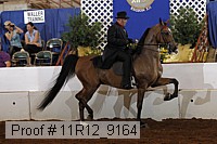 11r12_9164 proof