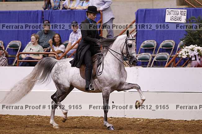 Proof 11r12_9165