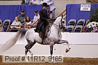 11r12_9165 proof