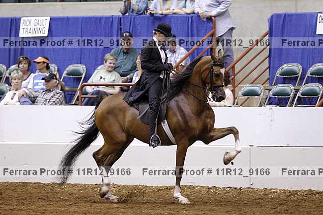 Proof 11r12_9166