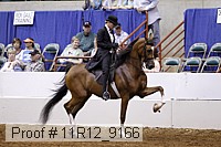 11r12_9166 proof