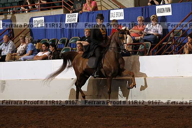 Proof 11r12_9167