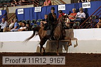 11r12_9167 proof