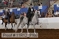 11r12_9168 proof