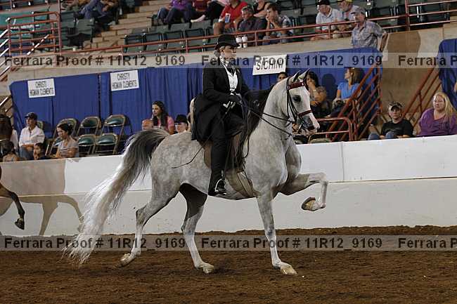 Proof 11r12_9169
