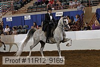 11r12_9169 proof