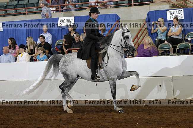 Proof 11r12_9170