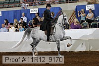 11r12_9170 proof