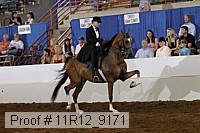 11r12_9171 proof