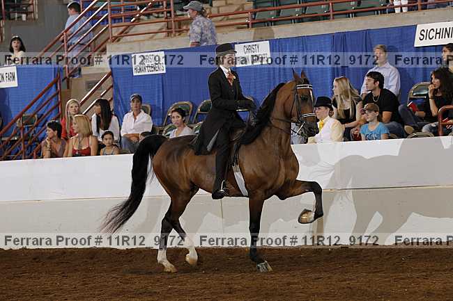 Proof 11r12_9172