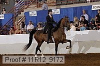 11r12_9172 proof